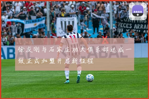 徐友刚与石家庄功夫俱乐部达成一致正式加盟开启新征程